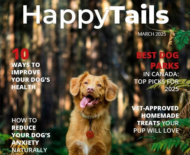 Pet Magazine Design cover